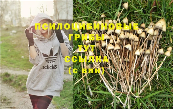 MDMA Premium VHQ Беломорск