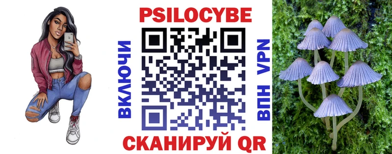 магазин продажи Магас Галлюциногенные грибы прущие грибы
