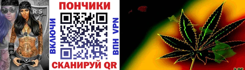 Бошки Шишки SATIVA & INDICA  купить наркотик  Магас 